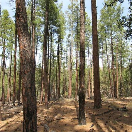 Forest Cabin 4 Cowboys Dream Payson Εξωτερικό φωτογραφία