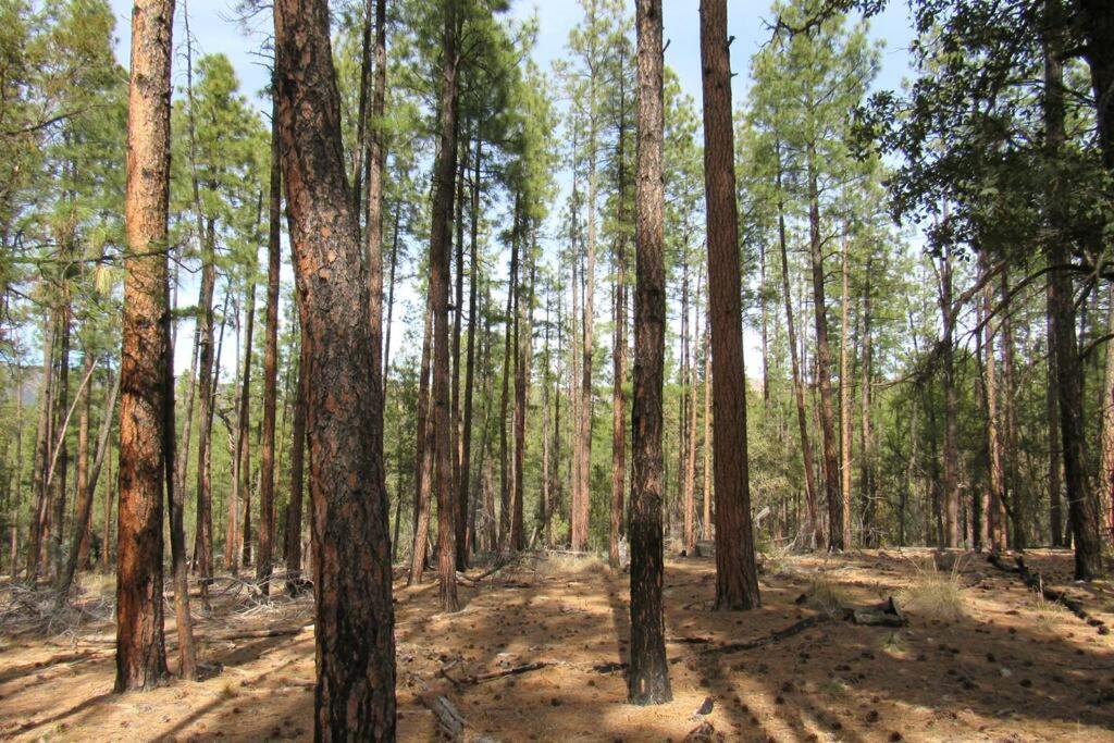 Forest Cabin 4 Cowboys Dream Payson Εξωτερικό φωτογραφία